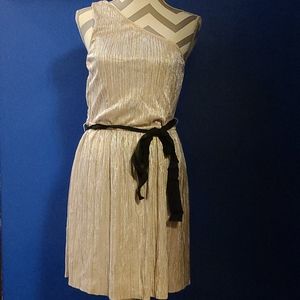 Express metallic one shoulder dress, size large